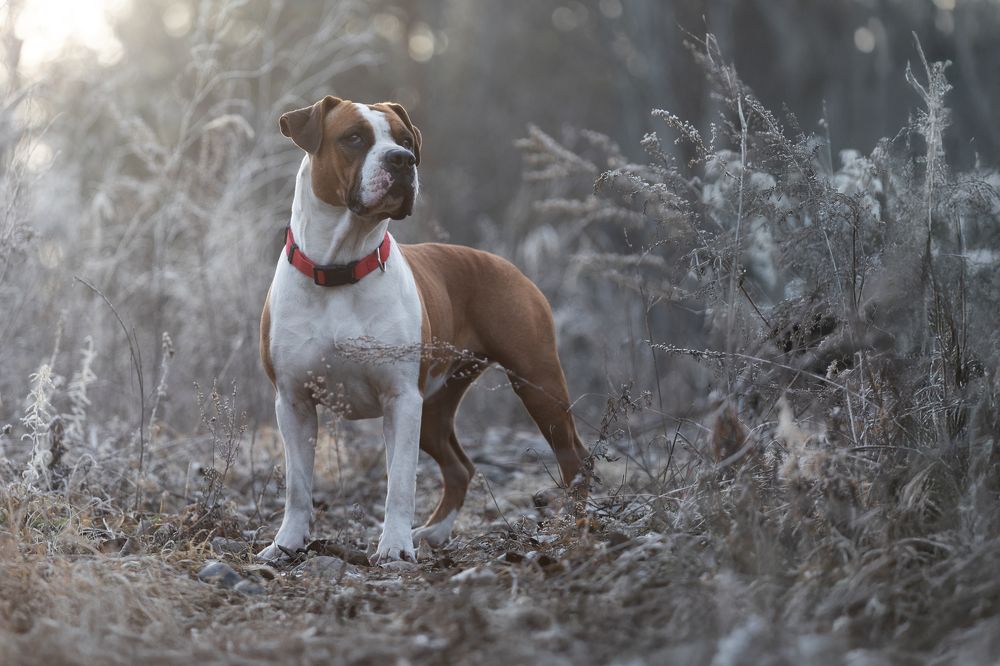 Фотография автора Наталия