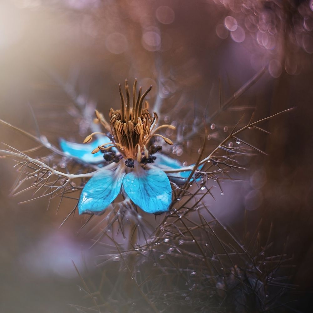 Photograph by Лапшина Владлена