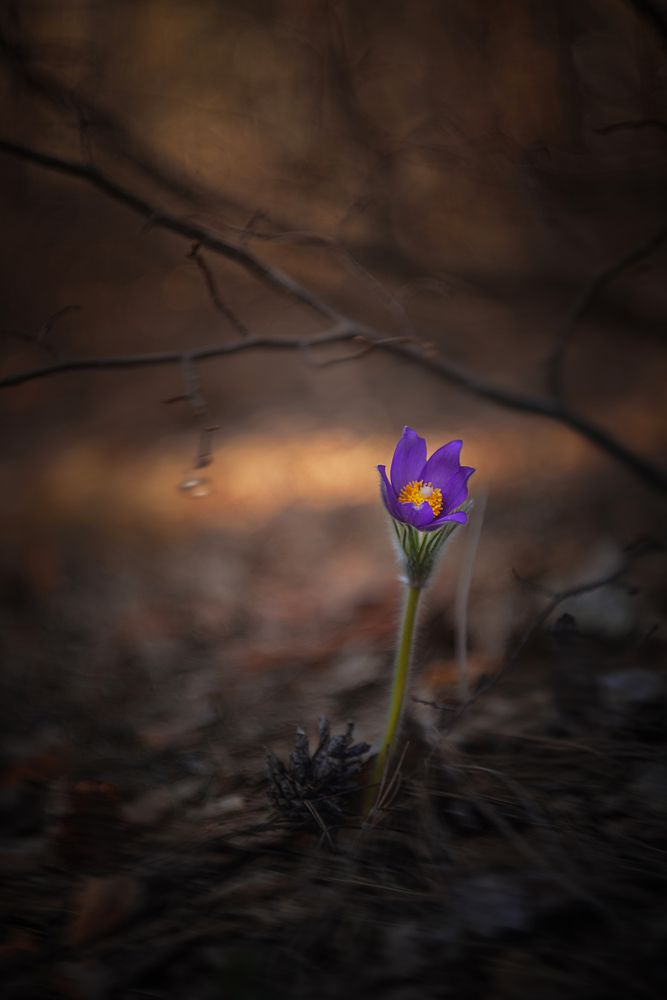 Photograph by Лапшина Владлена