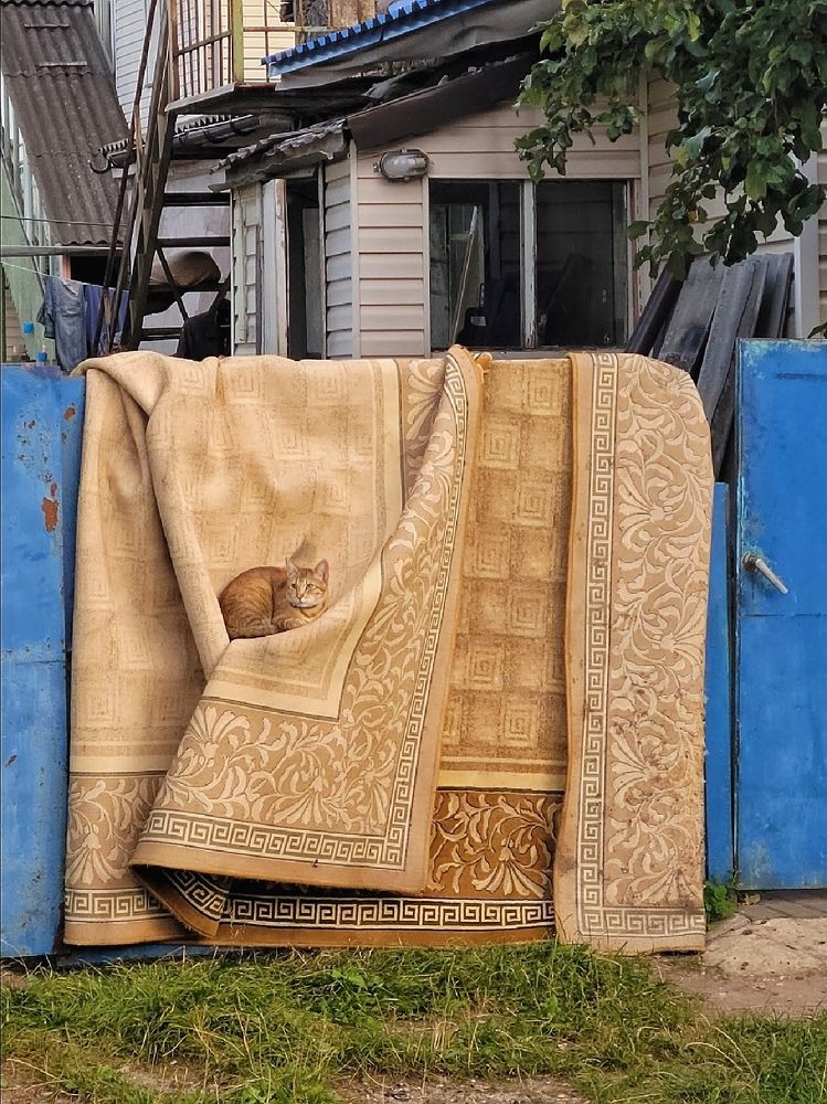 Photograph by Алина