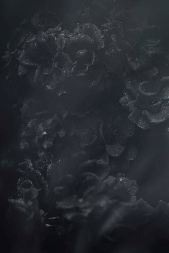 Photograph by Оксана Пономаренко