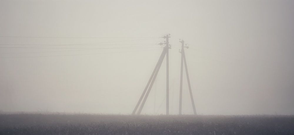 Фотография автора Максим Светличный