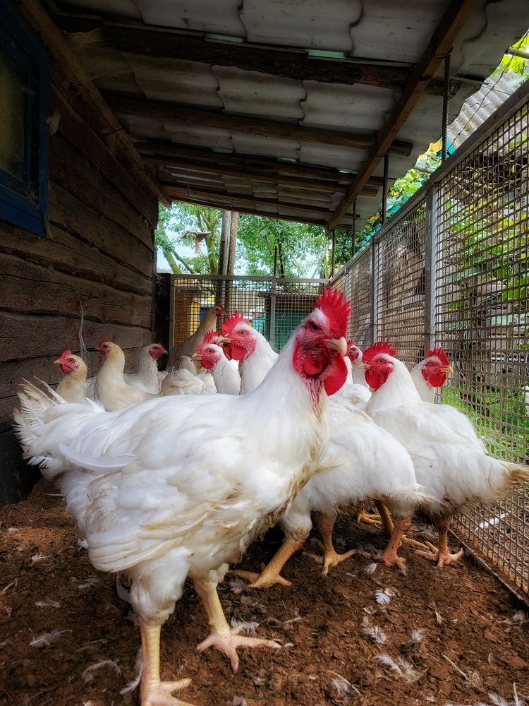 Photograph by Алина