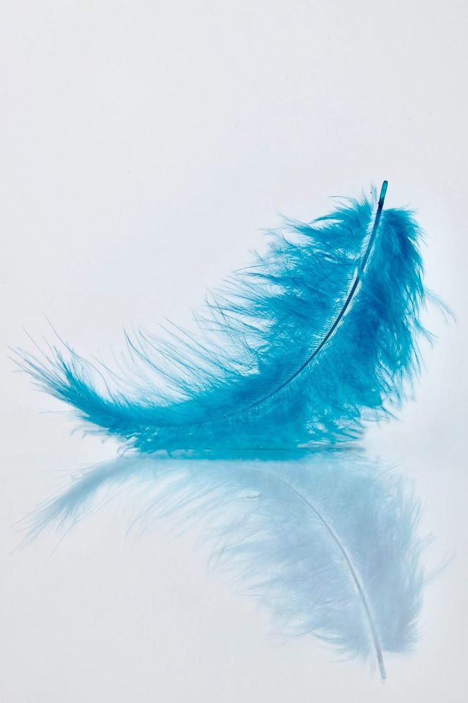 Photograph by Галина Сычева