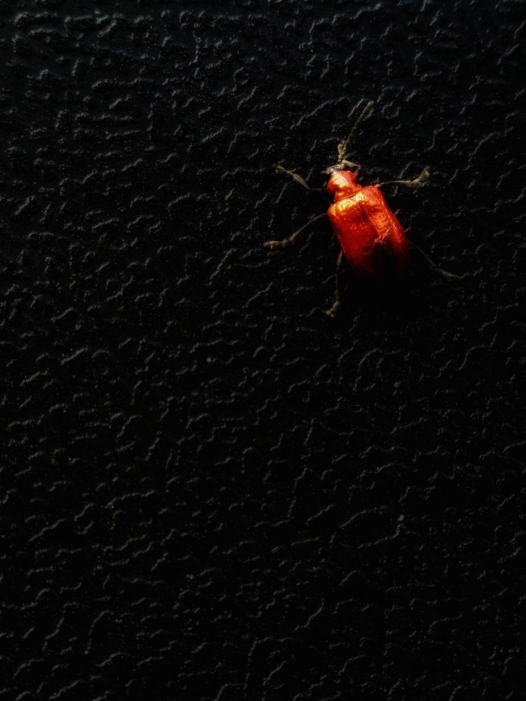 Photograph by Алина