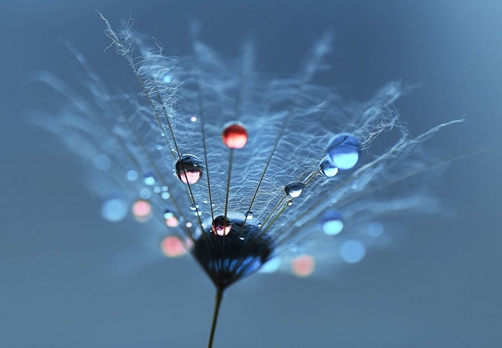 Photograph by Лапшина Владлена