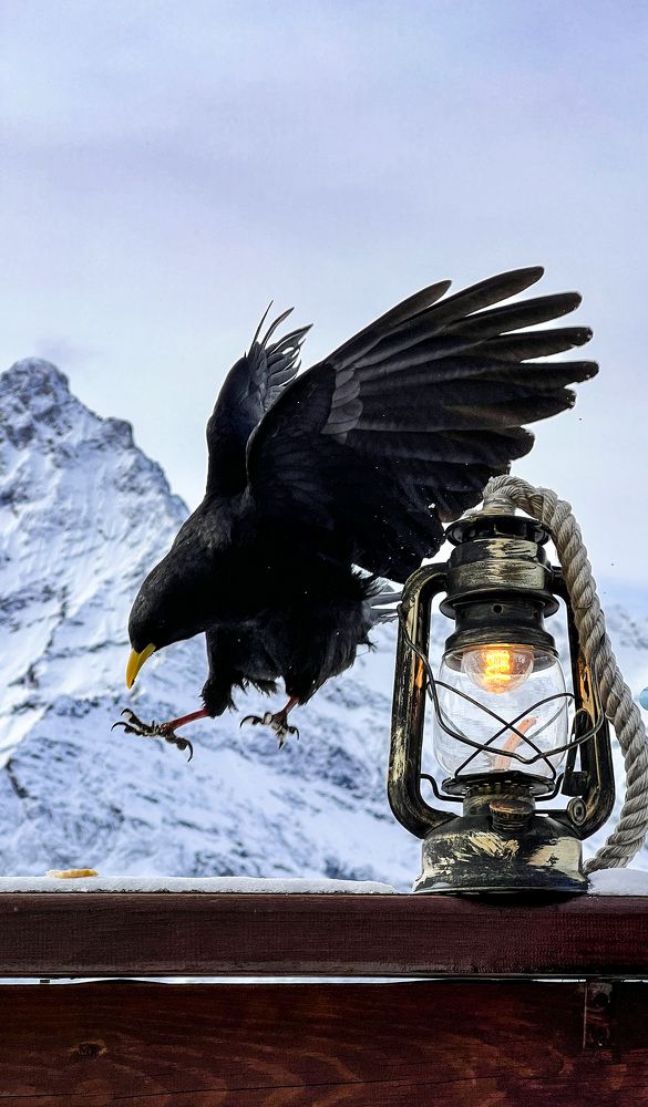 Photograph by Дмитрий Костяков