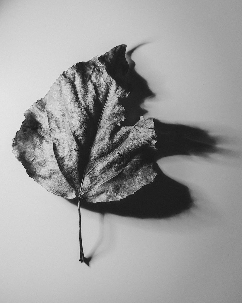 Photograph by Ирина Строкова