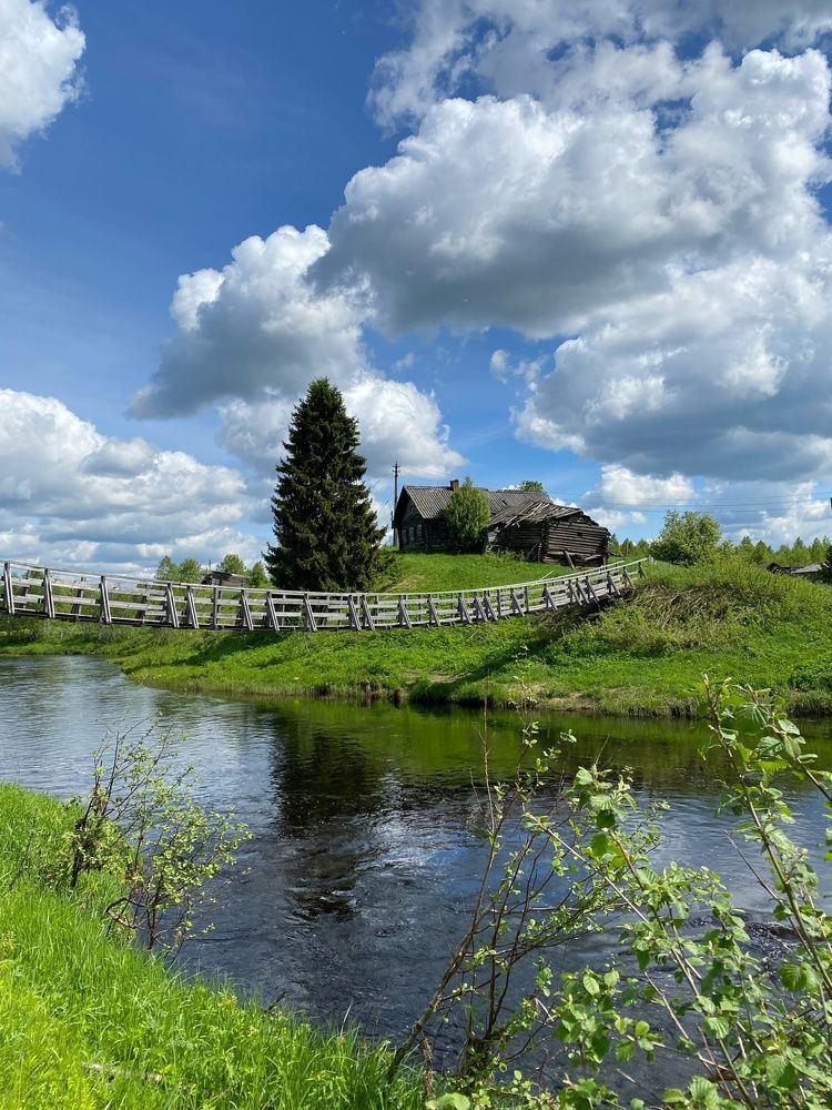 Фотография автора Виктория Зеленкова