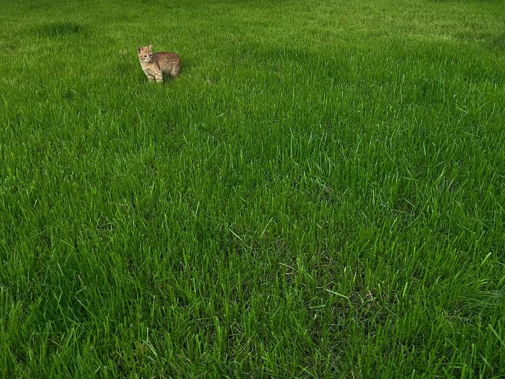 Photograph by Виктория Горельченко