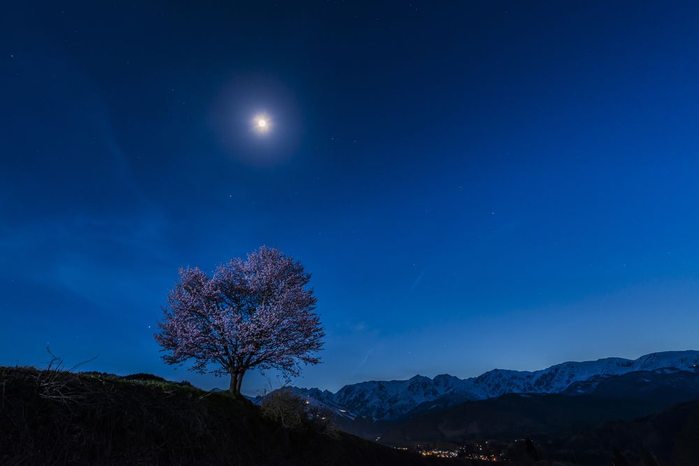 Photograph by Kurashima Daisuke