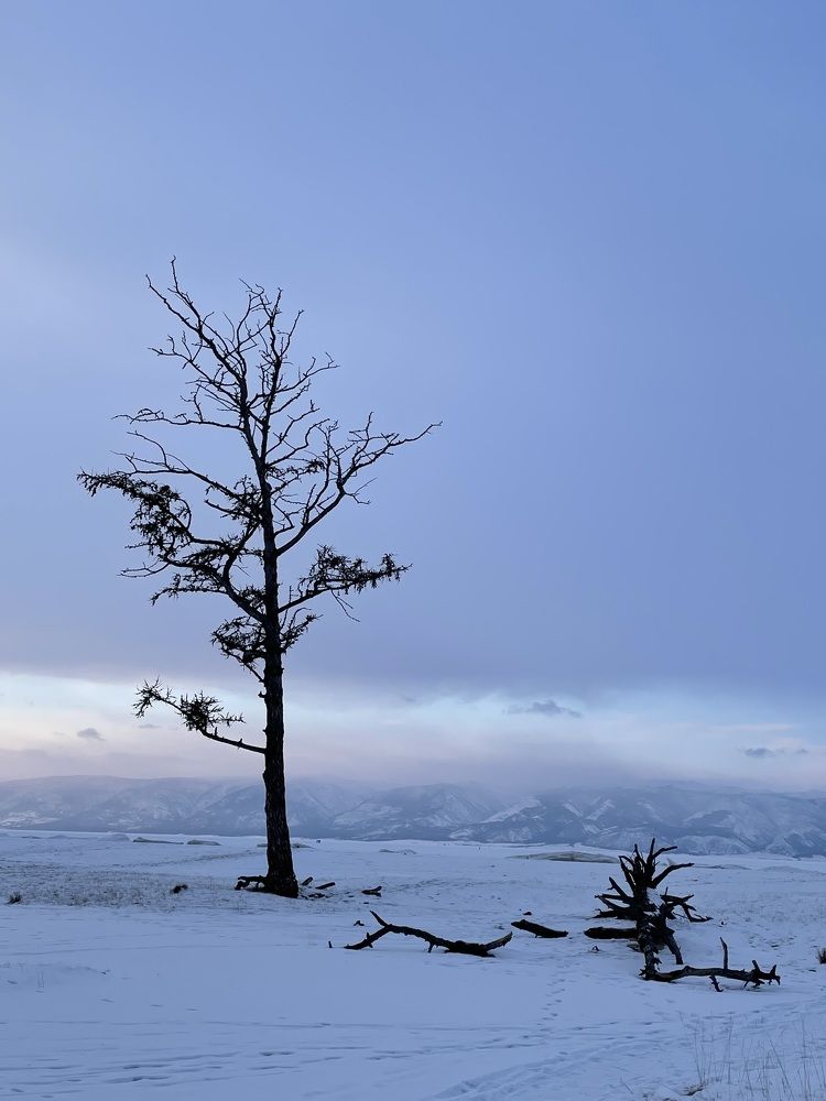 Photograph by Antonina Marchenko