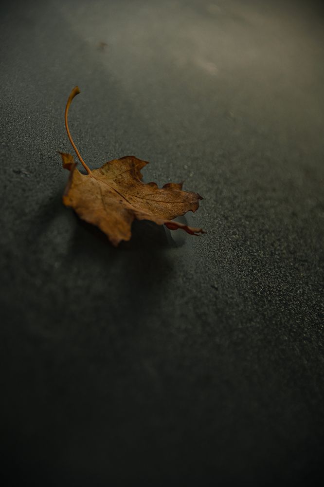 Photograph by Ирина Регульская