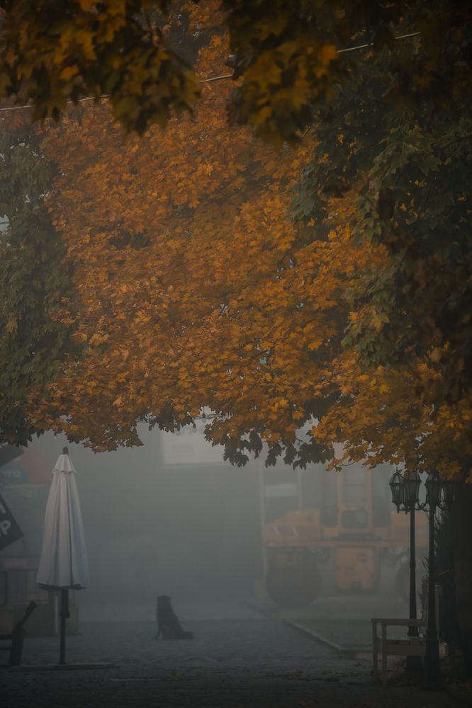 Photograph by Ирина Регульская