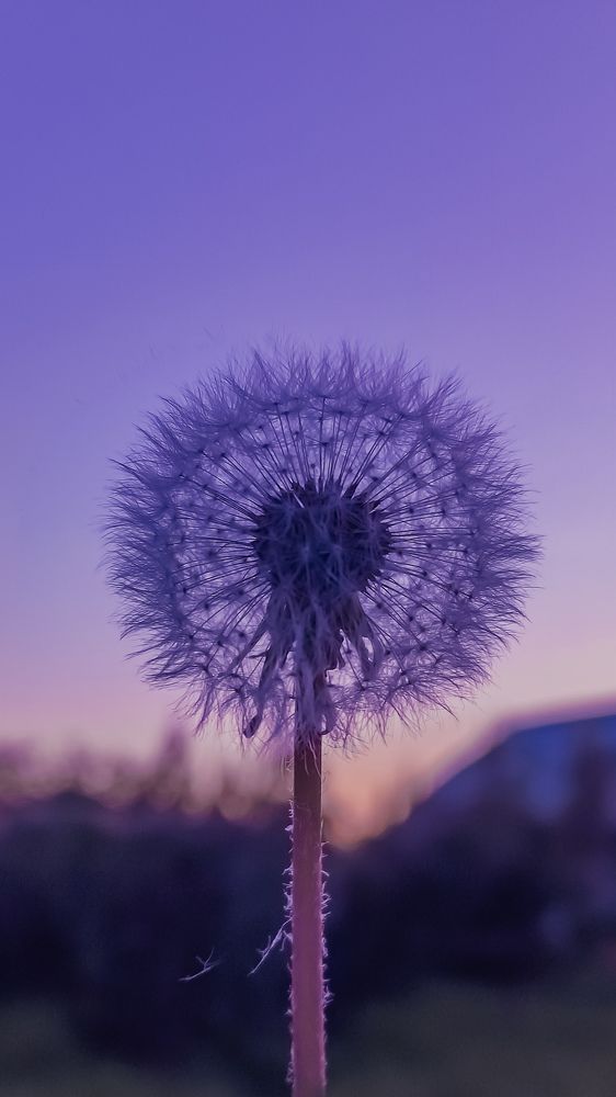 Photograph by Ирина Львова