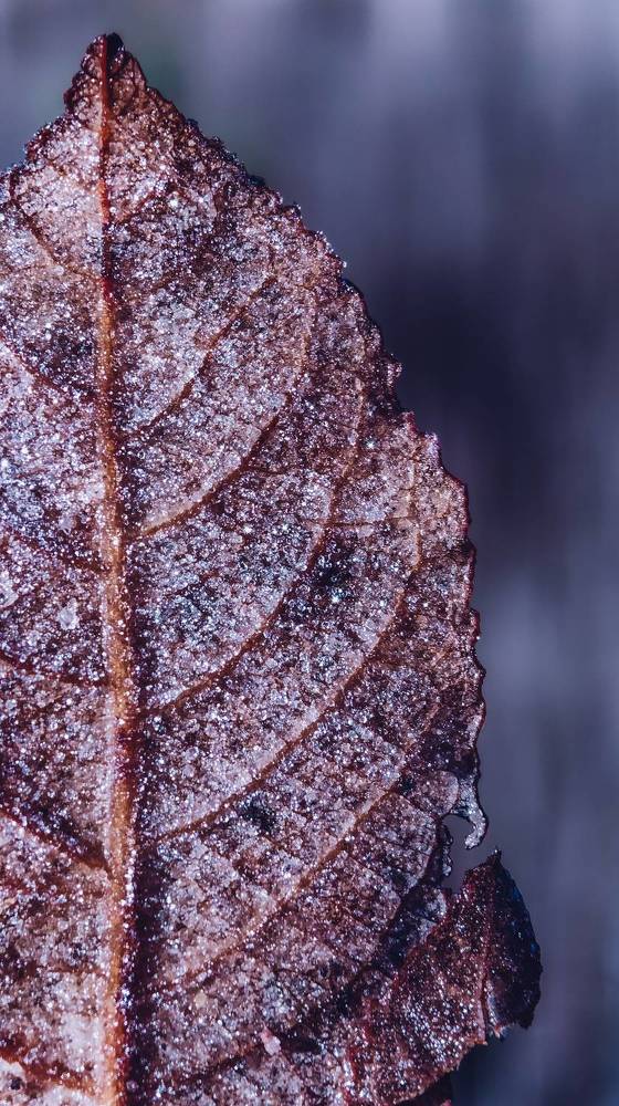 Photograph by Ирина Львова