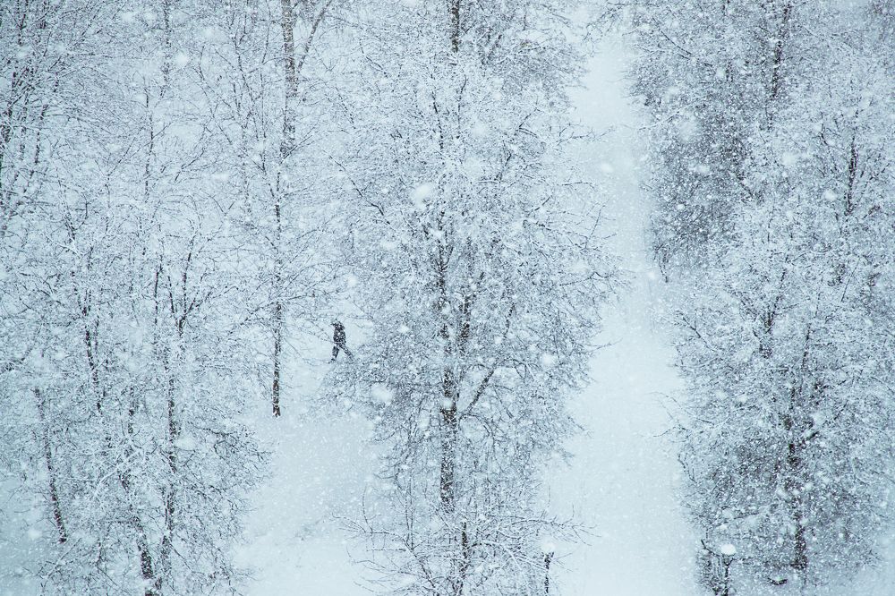 Photograph by Владимир Говоров