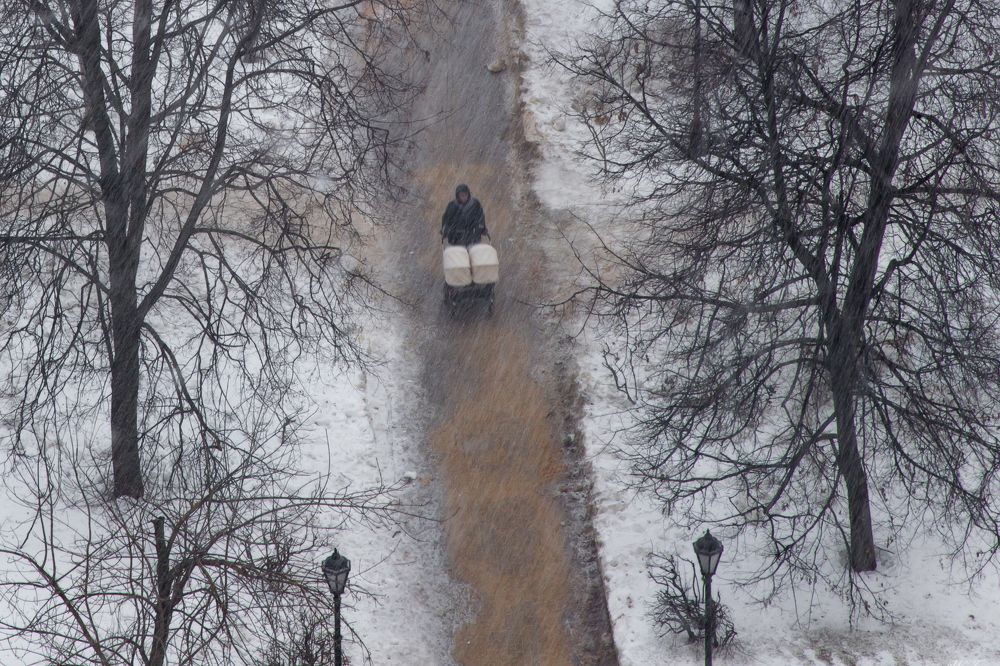 Photograph by Владимир Говоров