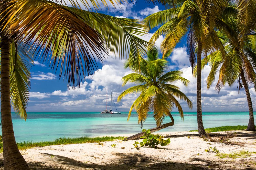 Photograph by Владимир Говоров