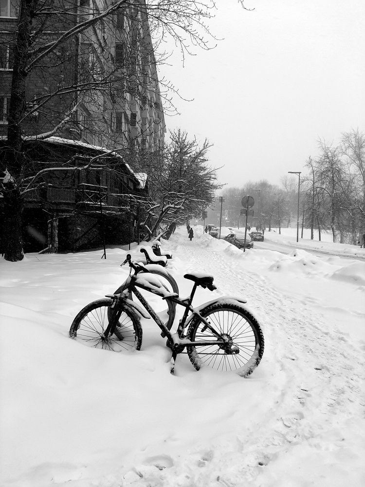 Photograph by Мария Грибкова