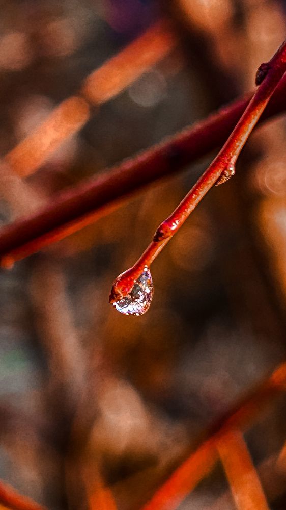 Photograph by Татьяна