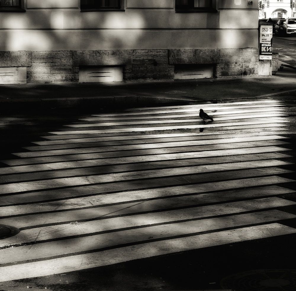 Photograph by Дайана