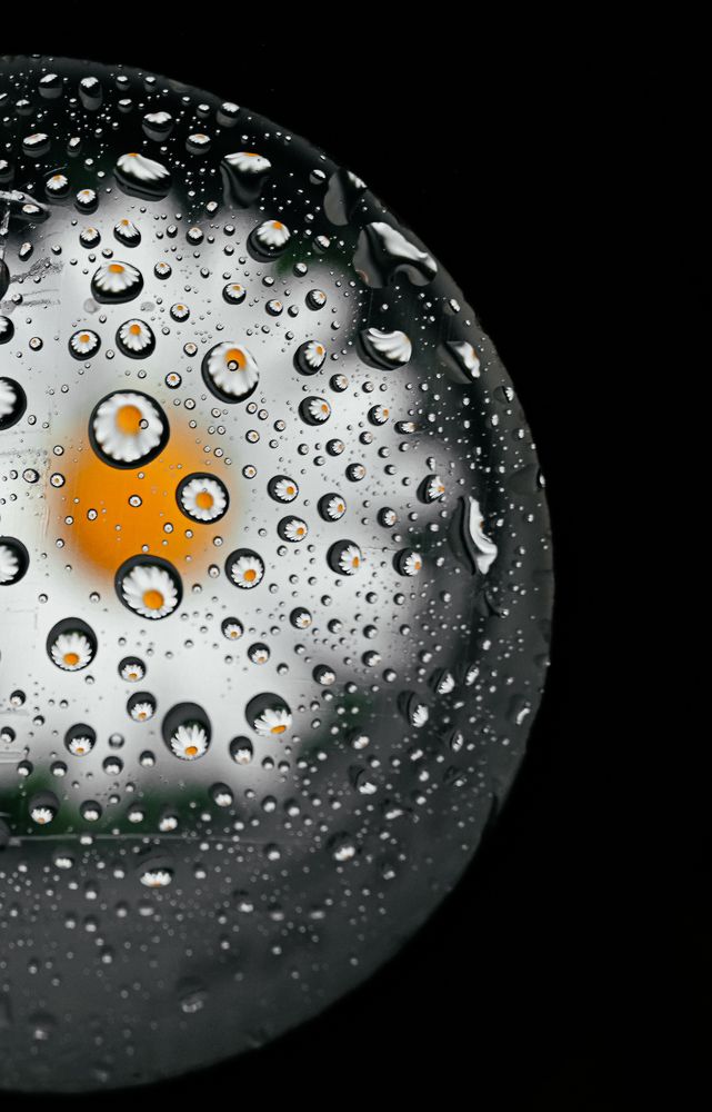 Photograph by Анастасия Мостачёва