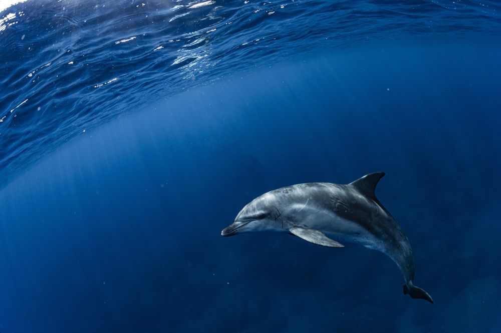 Photograph by Kurashima Daisuke