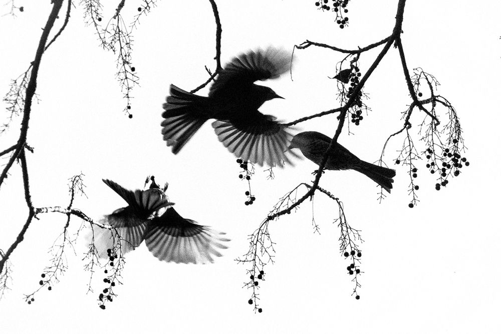 Photograph by Manaska Mukhopadhyay