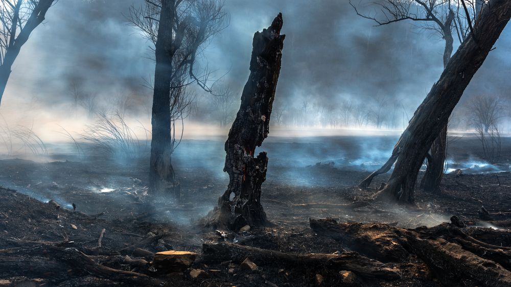 Photograph by константин