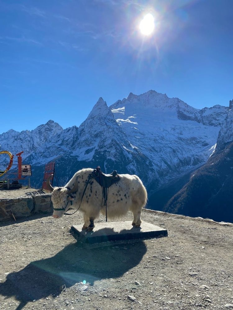 Фотография автора Виктория Зеленкова