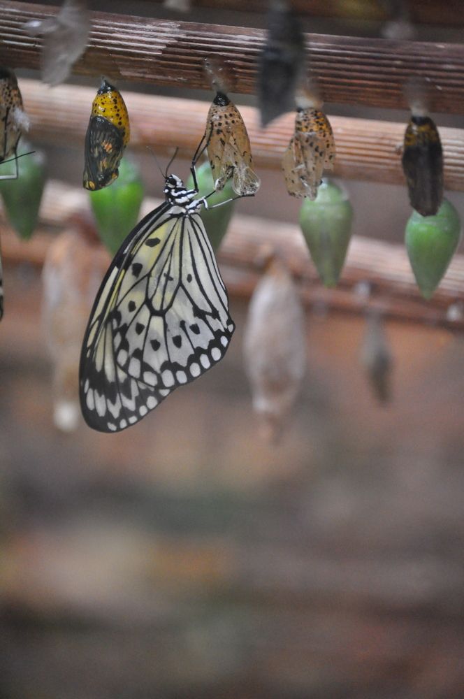 Photograph by Галина Лысых