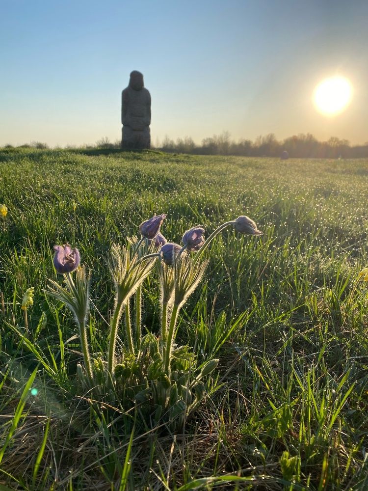 Фотография автора Виктория Зеленкова