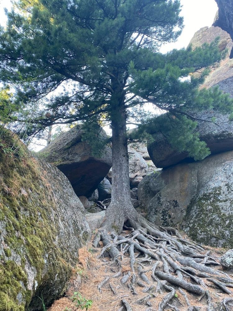 Фотография автора Виктория Зеленкова