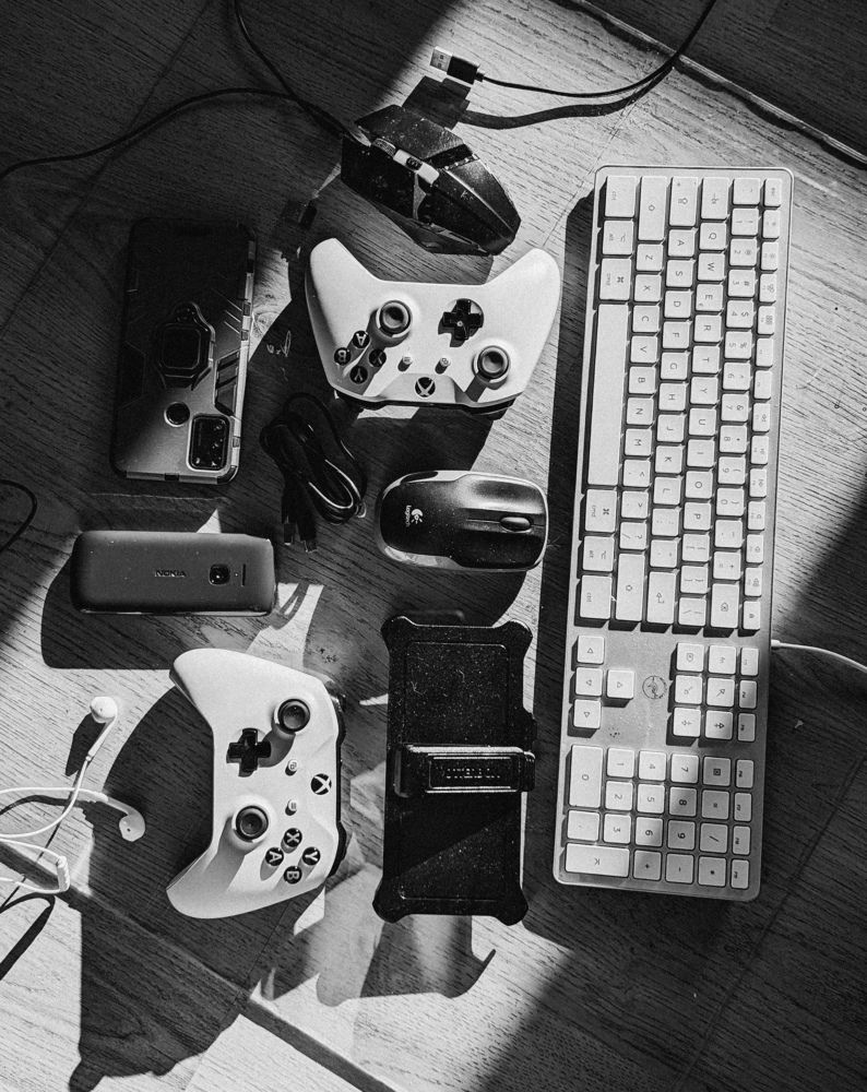 Фотография автора Ксения Шляйхер