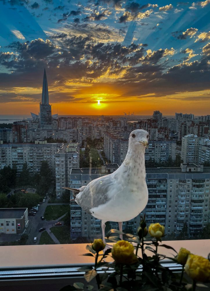 Photograph by Светлана