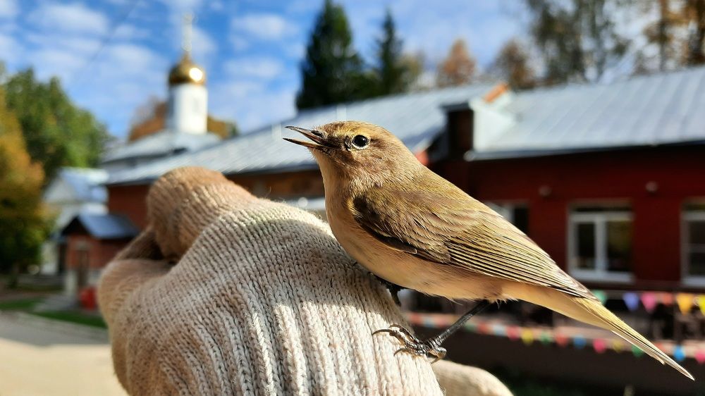 Photograph by Мирон Сергей