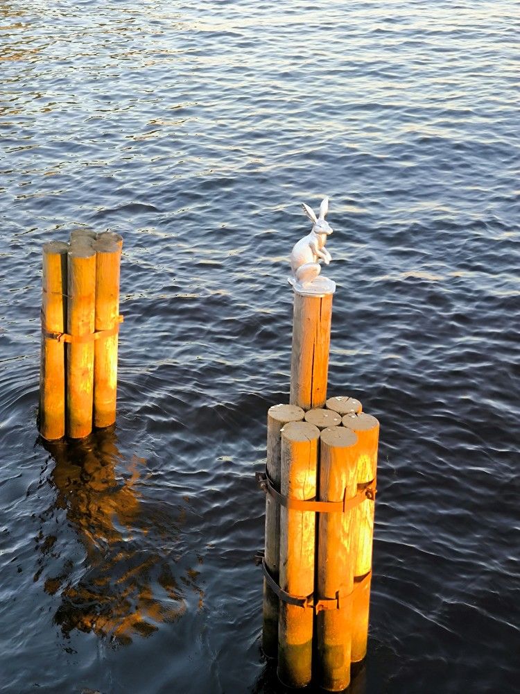Памятник Зайцу Арсению возле стен Петропавловской крепости в Санкт-Петербурге