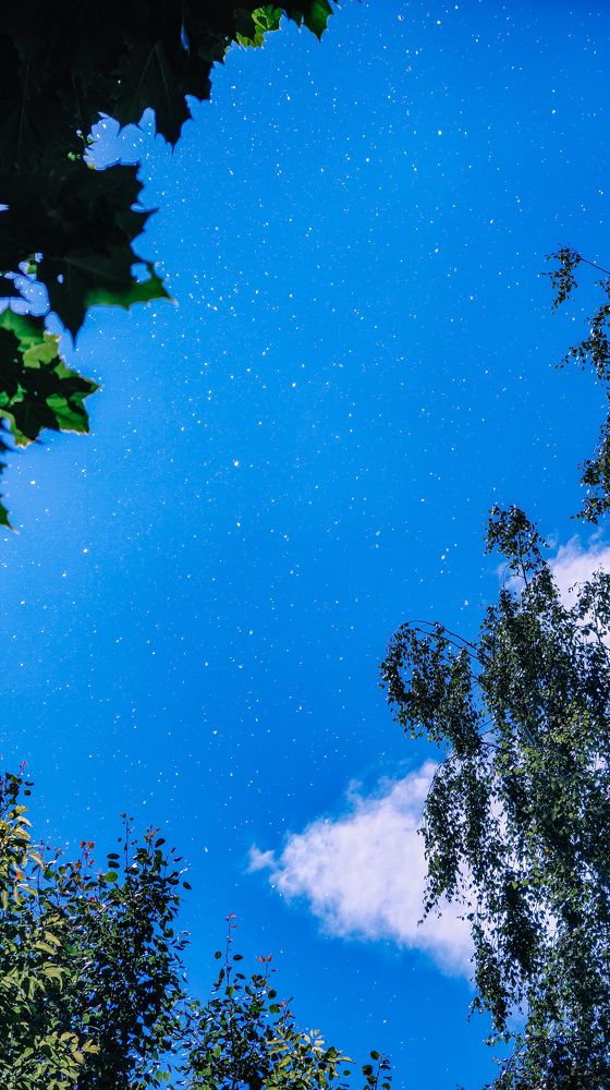 Photograph by Ирина Львова