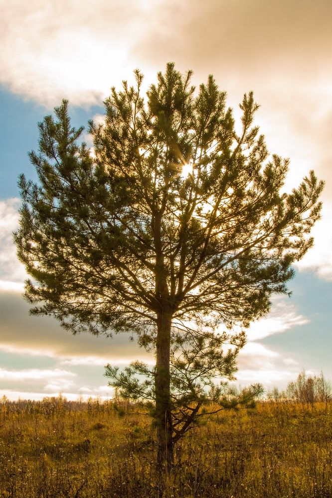 Photograph by Mikhail Tatanov