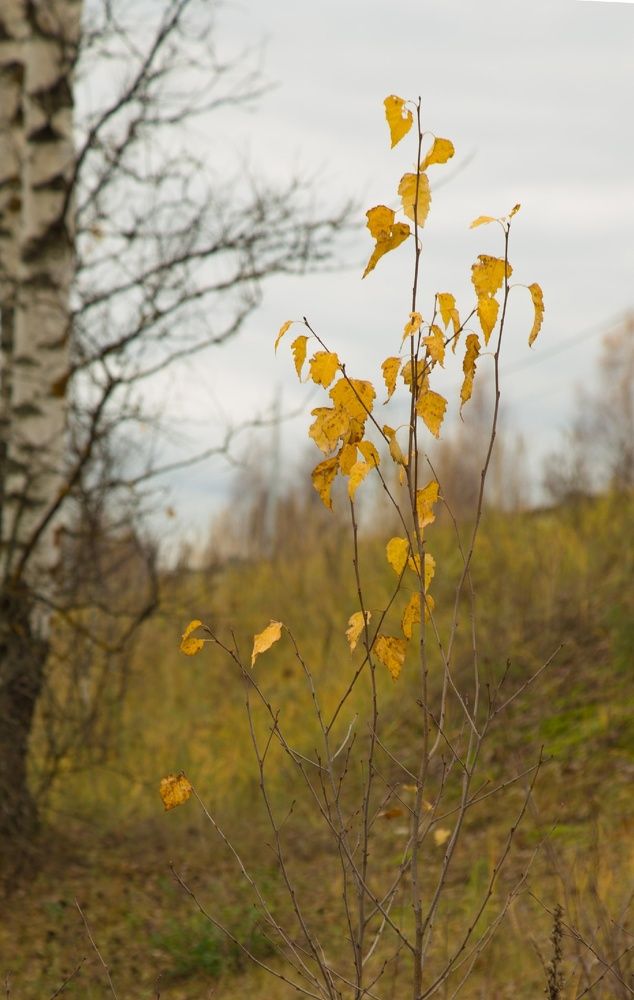 Photograph by Mikhail Tatanov