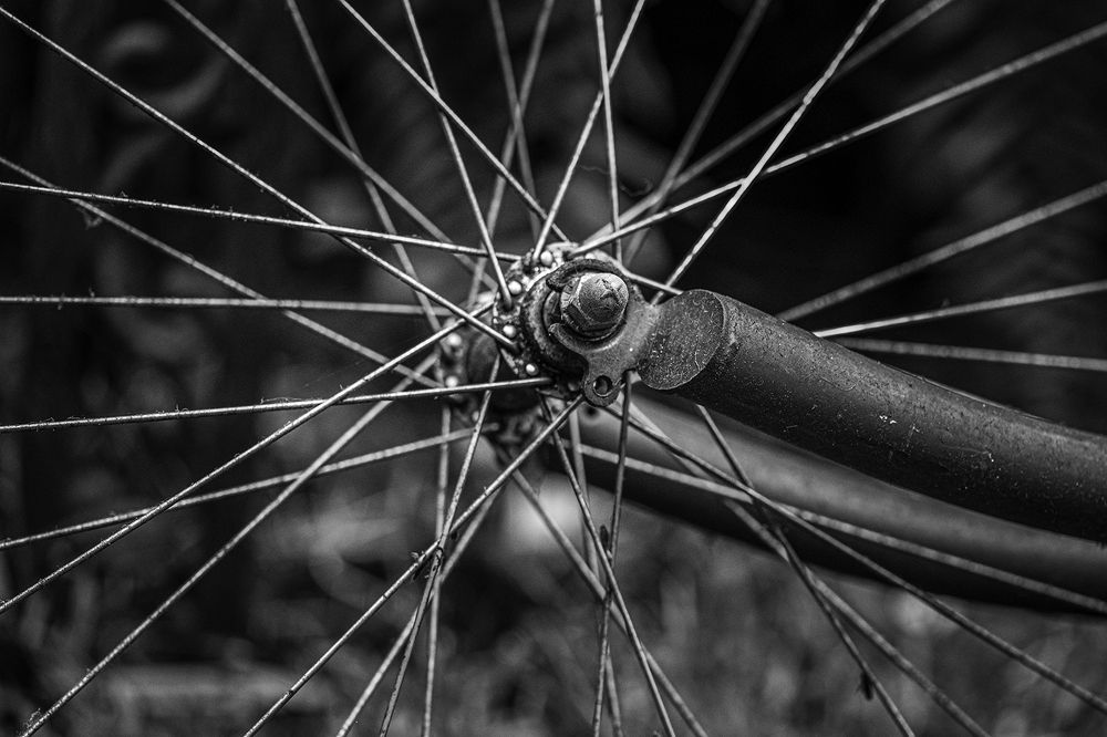 Фотография автора Ray Asiala