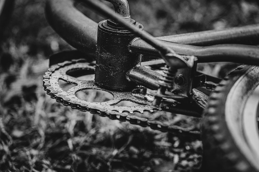 Фотография автора Ray Asiala