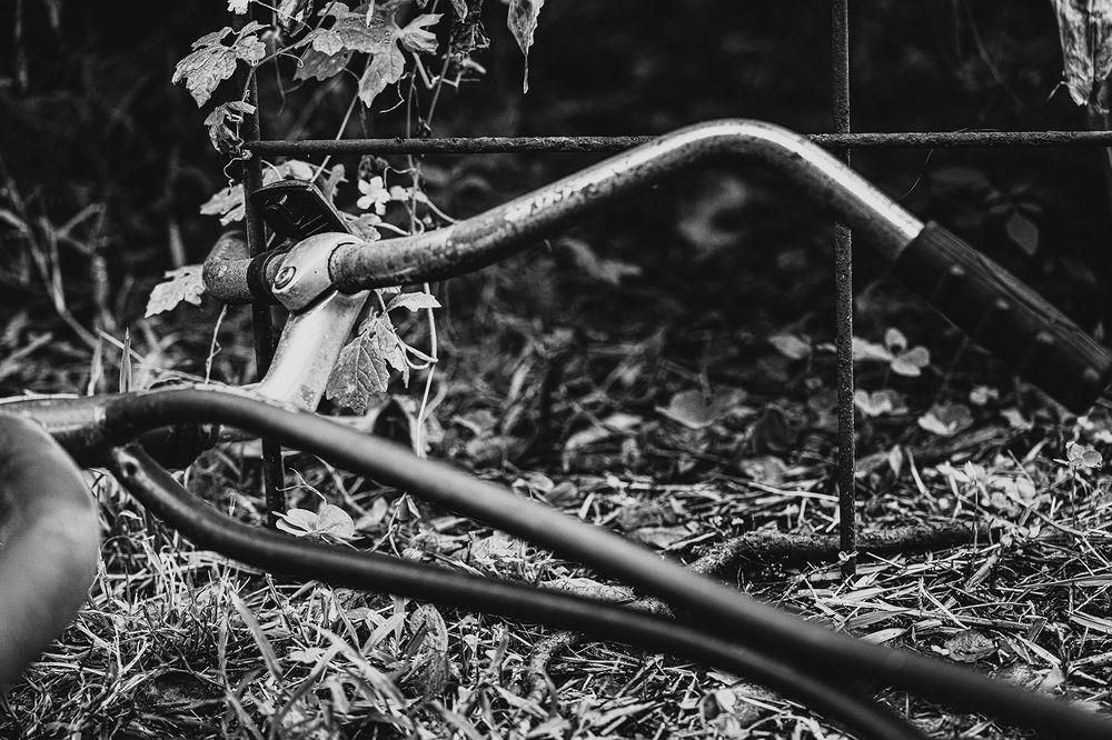 Фотография автора Ray Asiala