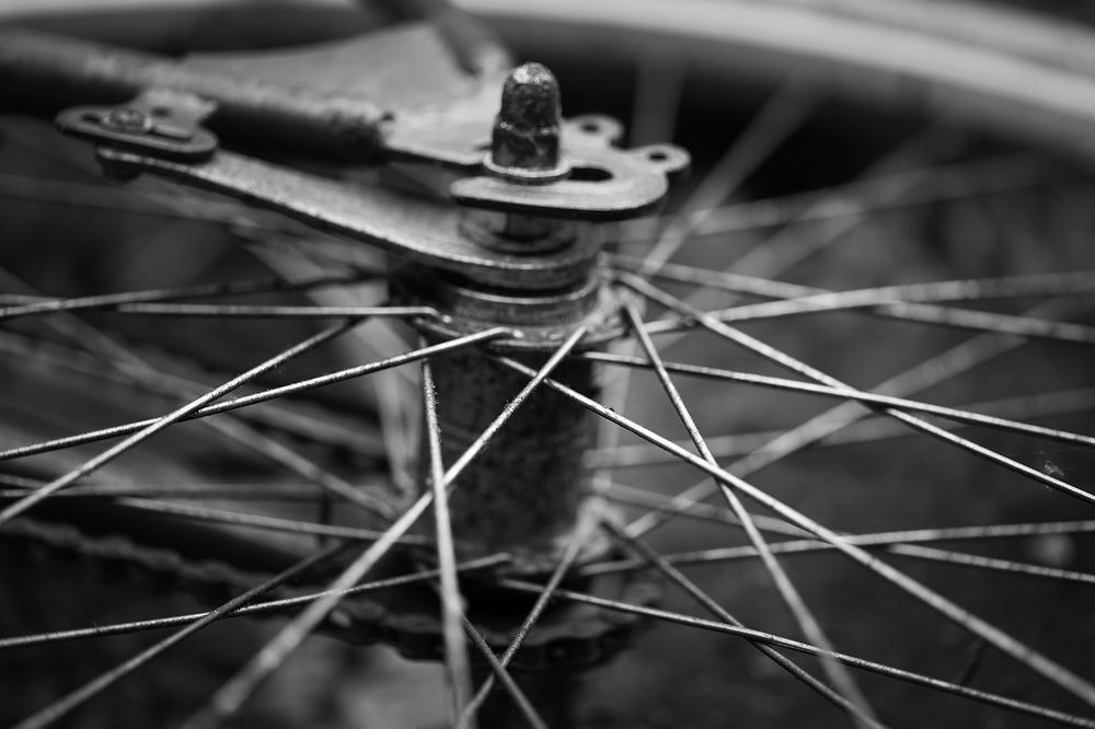 Фотография автора Ray Asiala