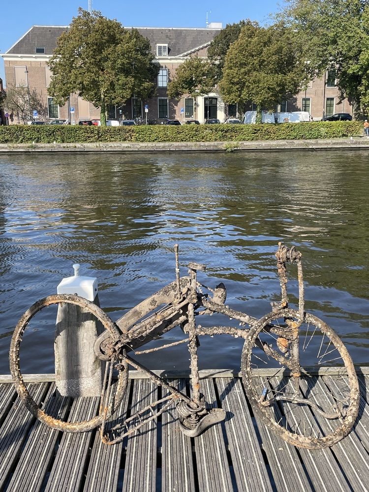 Фотография автора Nadezhda