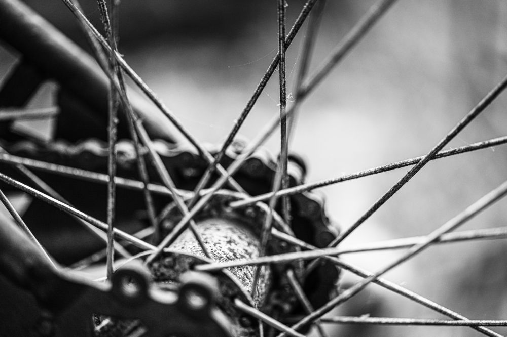 Фотография автора Ray Asiala