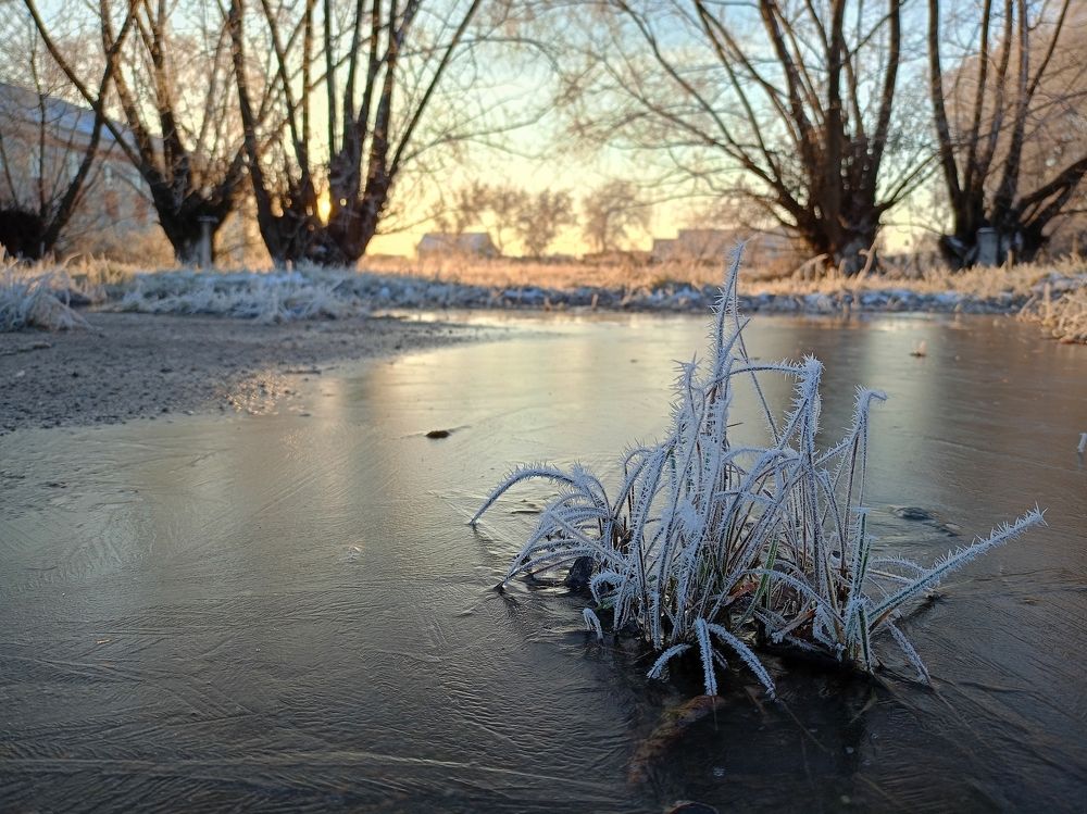 Photograph by Елена Чернякова