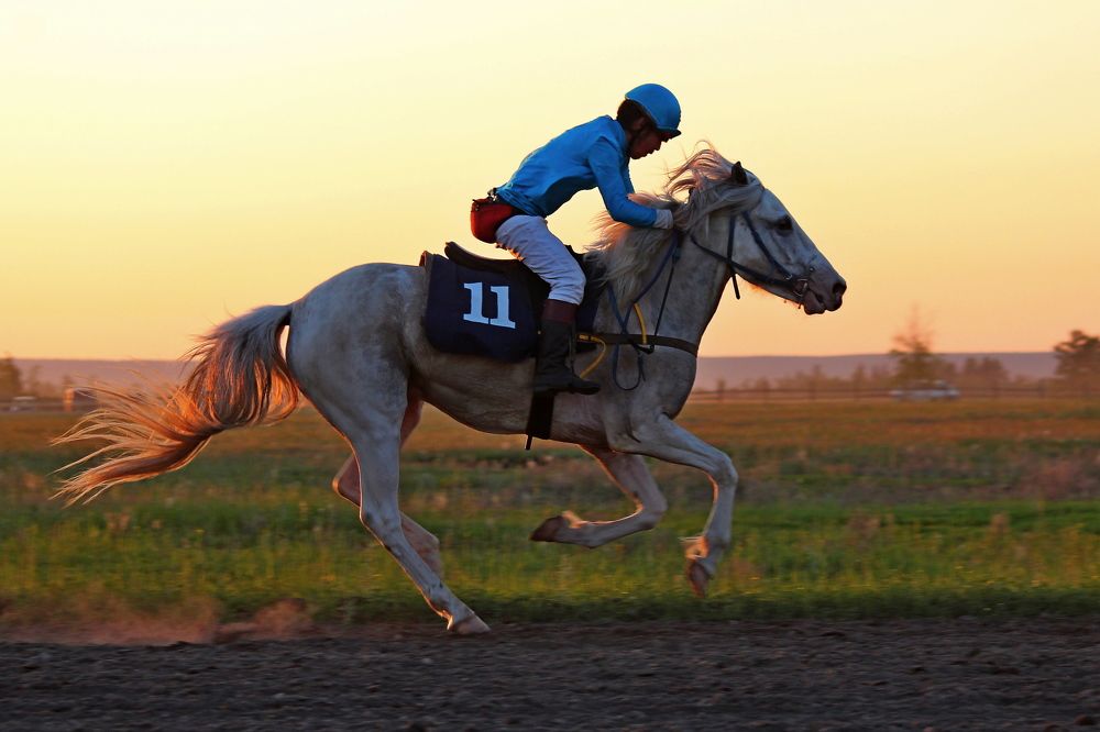 Photograph by Александр Велигура