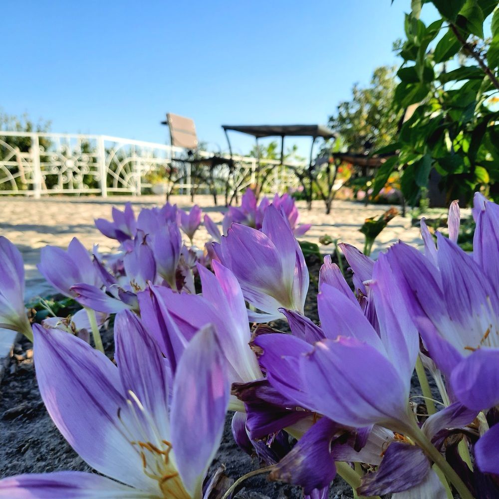 Photograph by Мирон Сергей